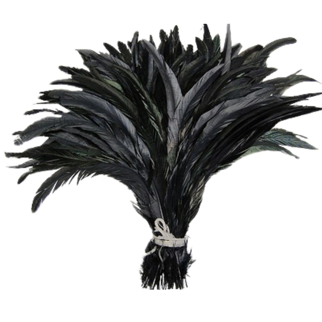 Black feathers tied in a bundle