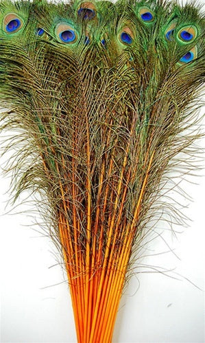 Peacock Feather Tails Dyed 30-45"
