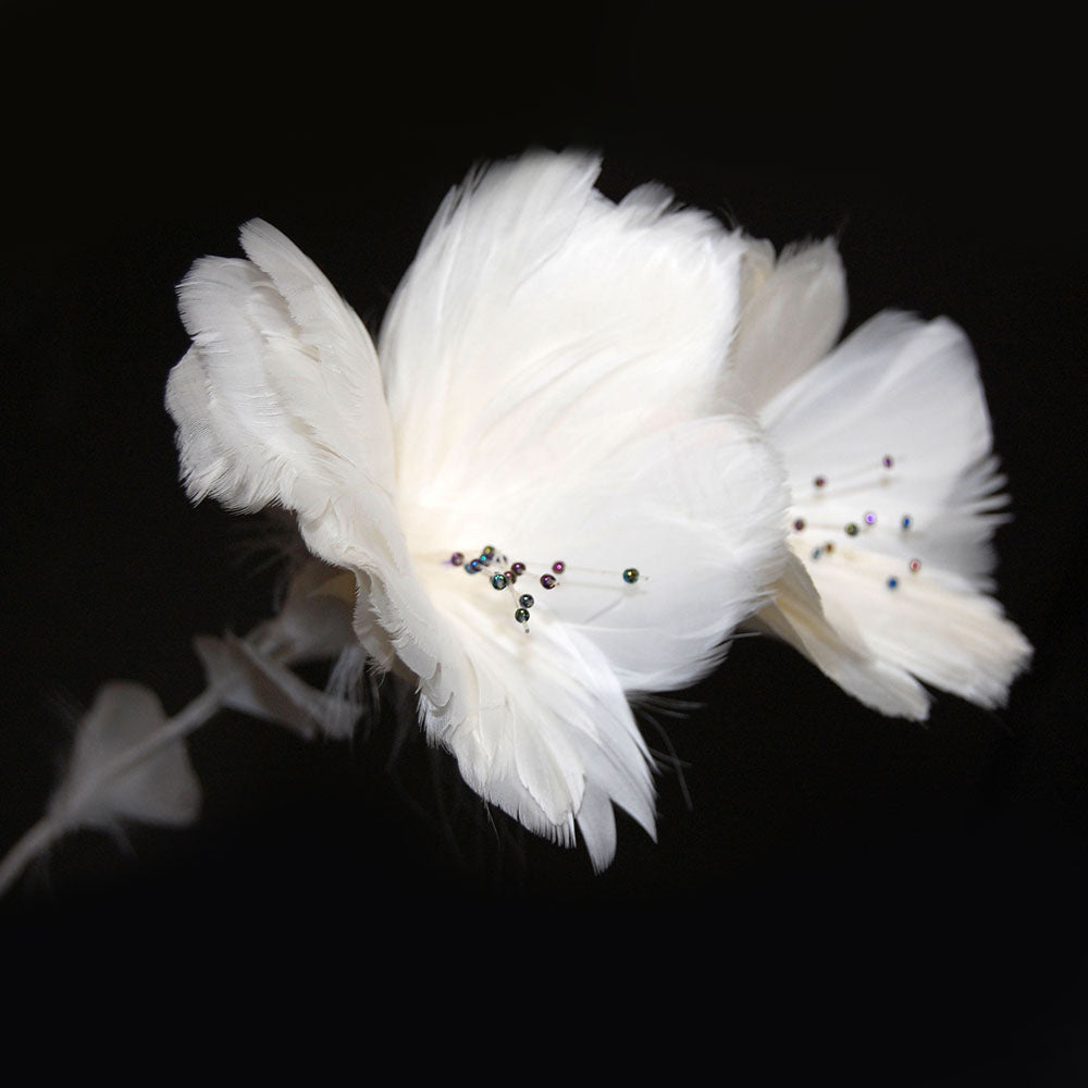 Feather Flowers