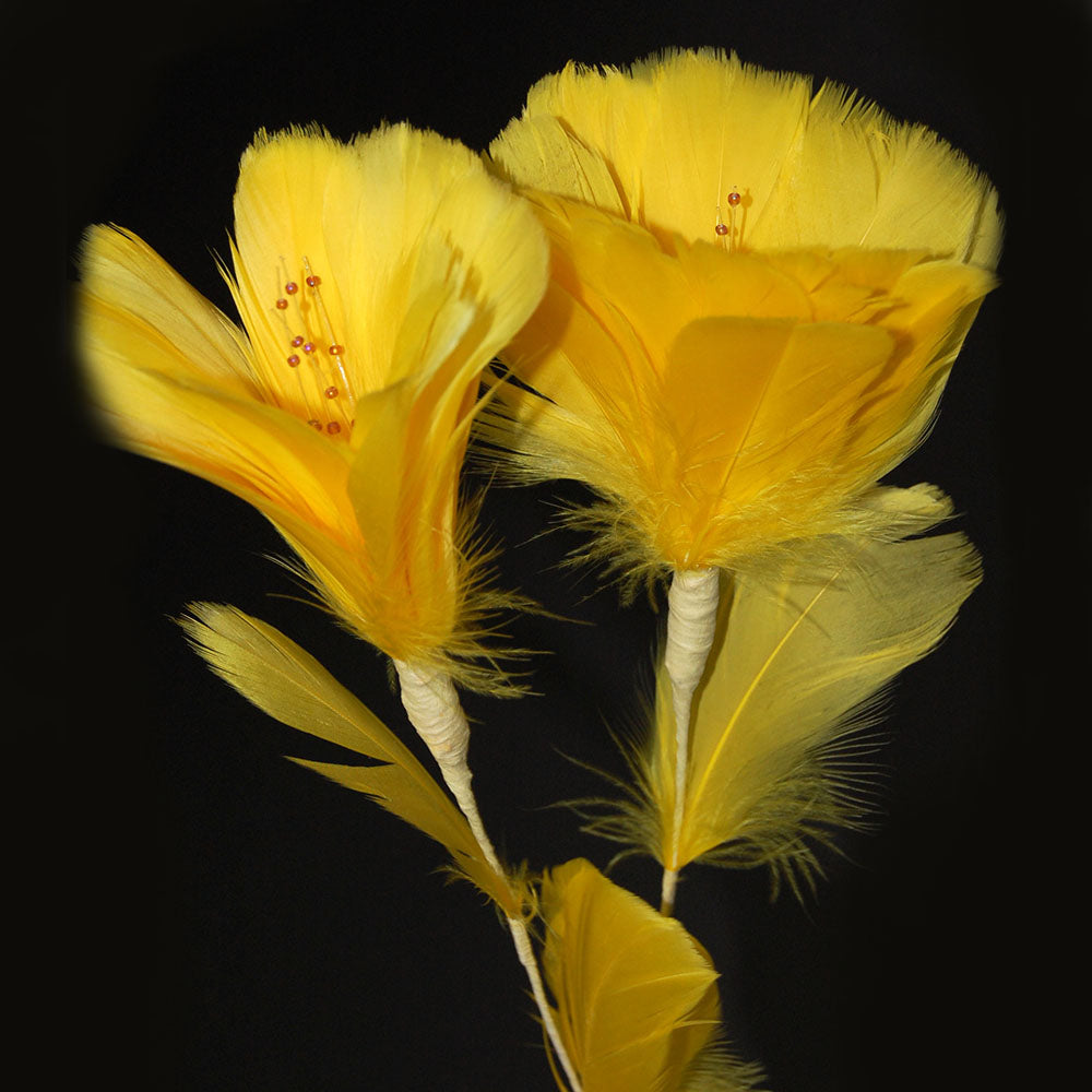 Feather Flowers