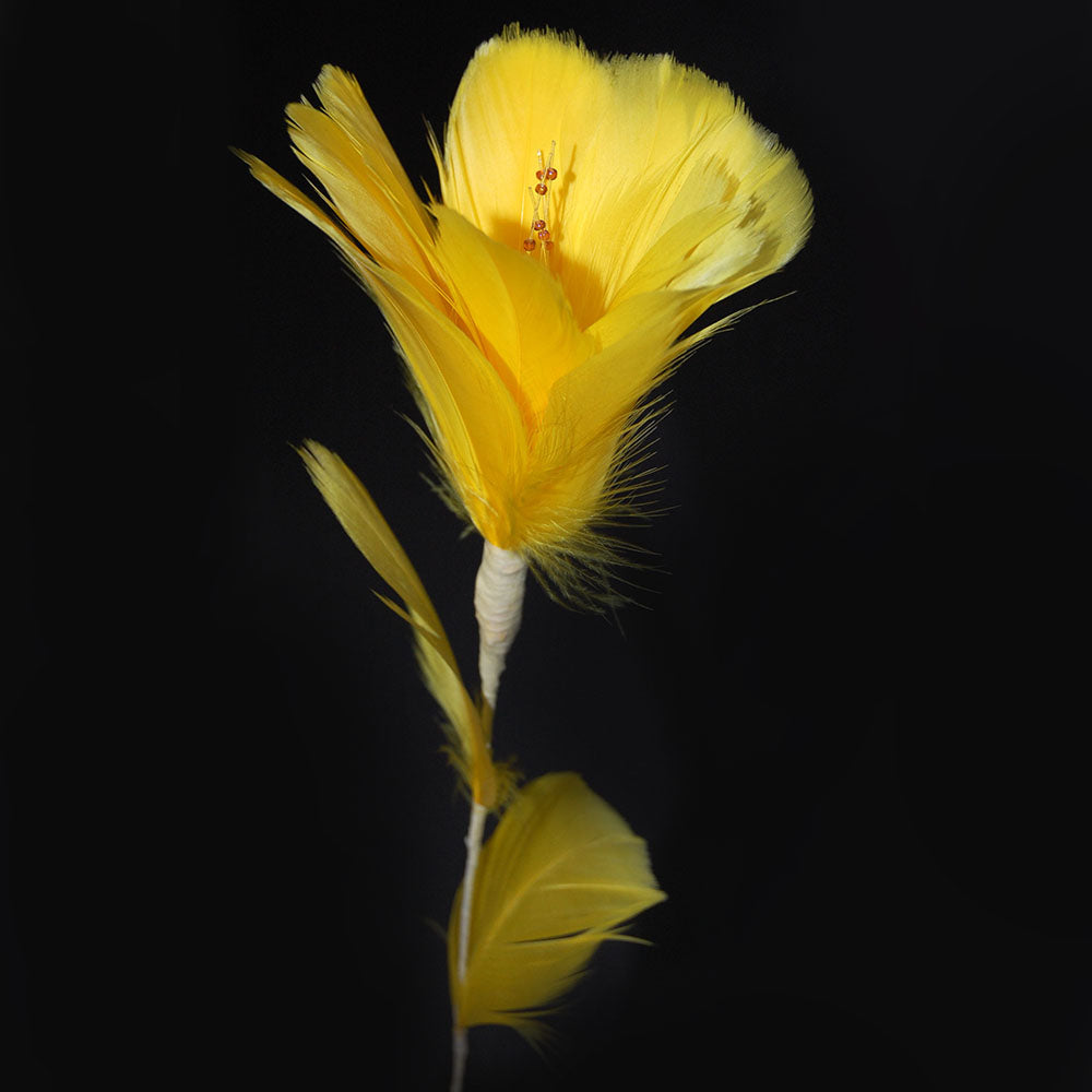 Feather Flowers