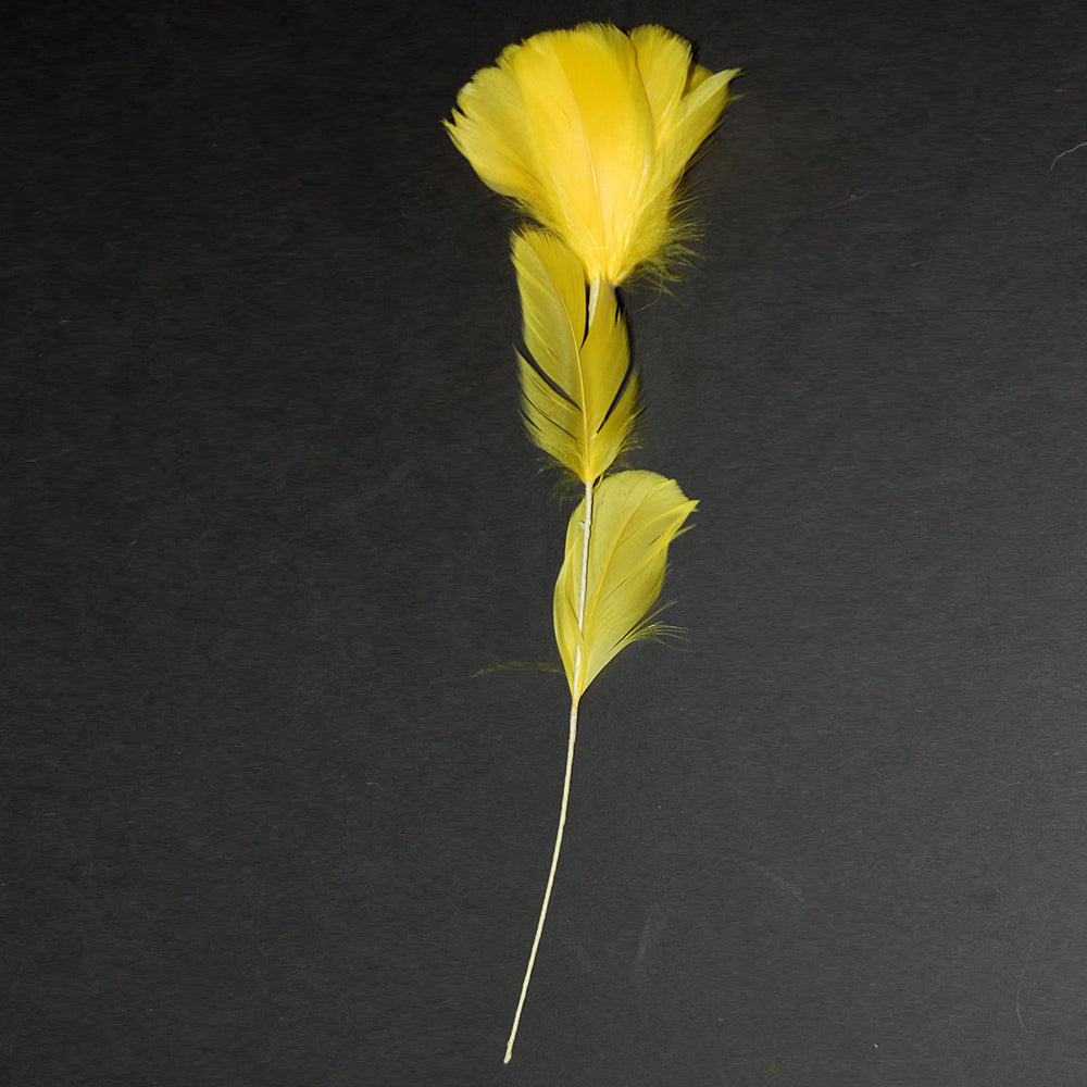 Feather Flowers