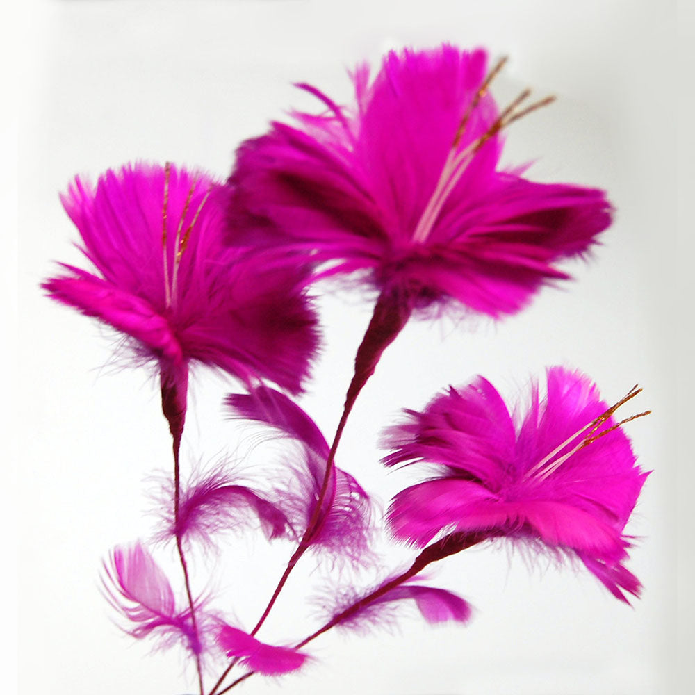 Feather Flowers