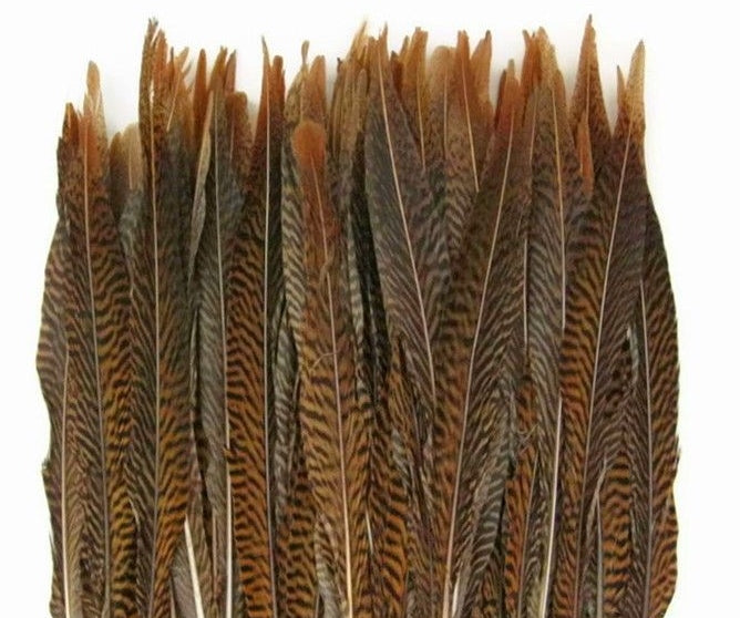 Golden Pheasant Tails 4-30"