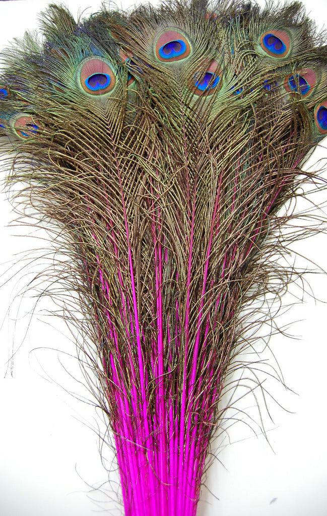 Peacock Feather Tails Dyed 30-45"