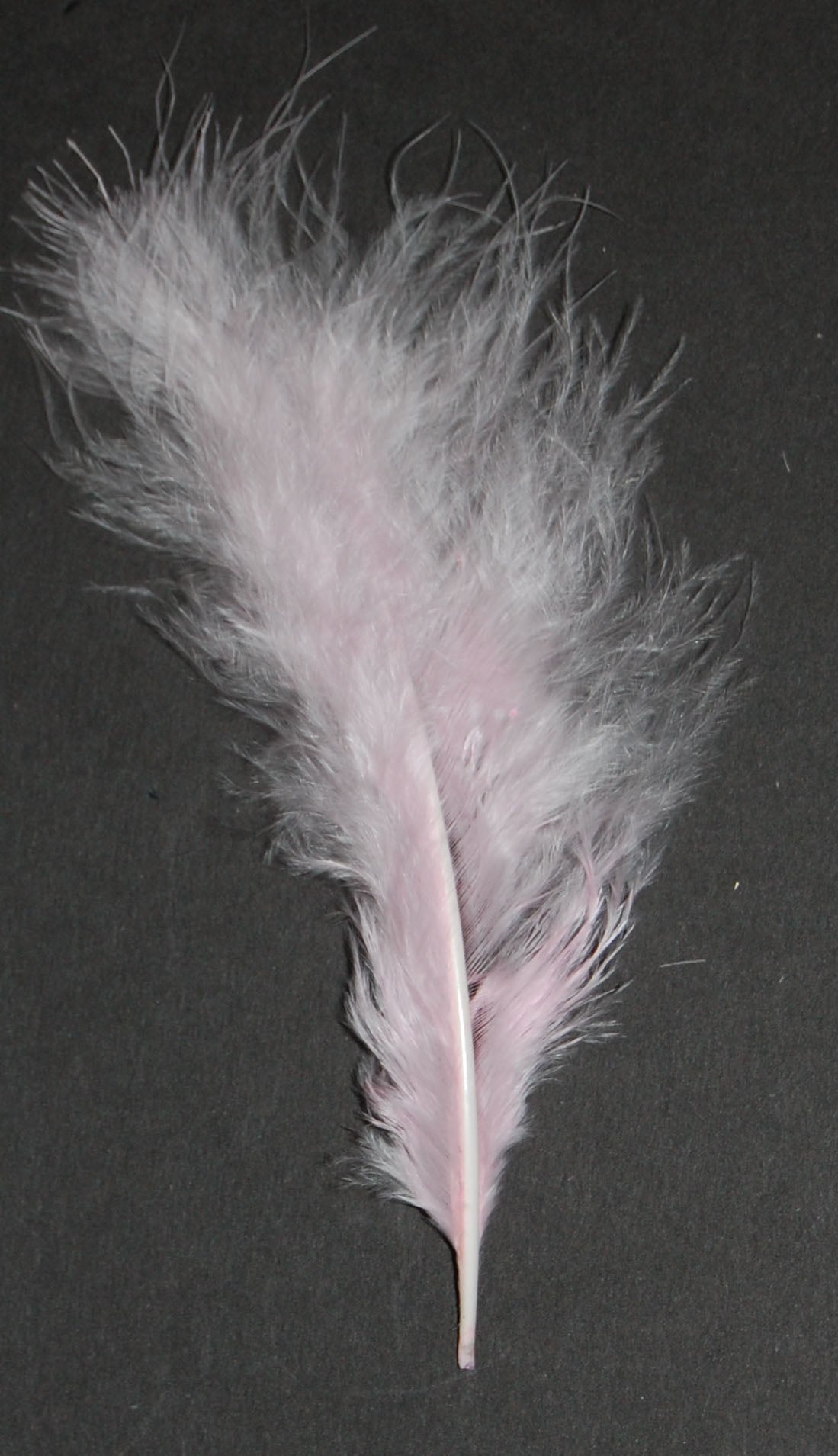 Marabou Plumage