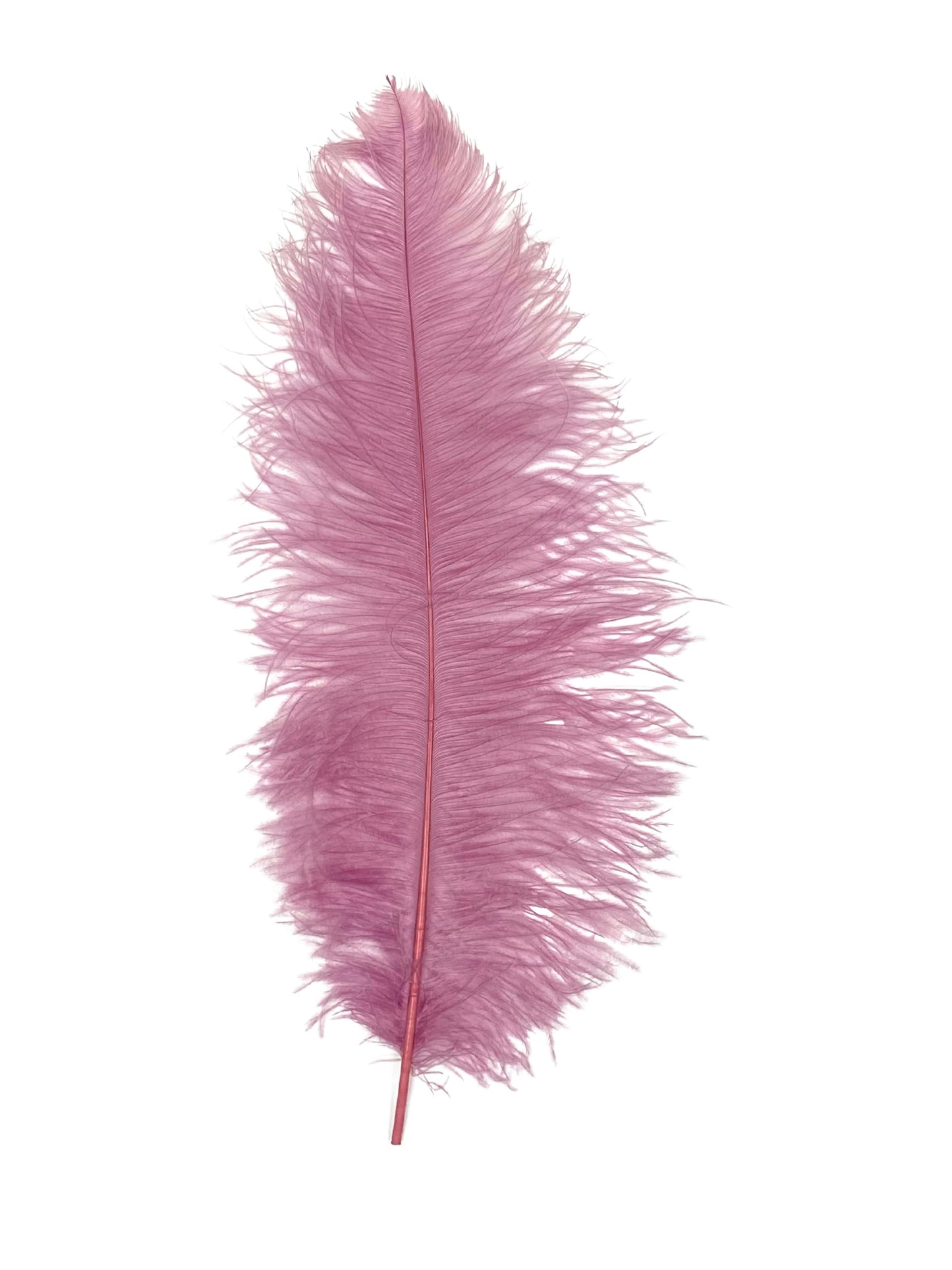 Ostrich Plumes 23-28"