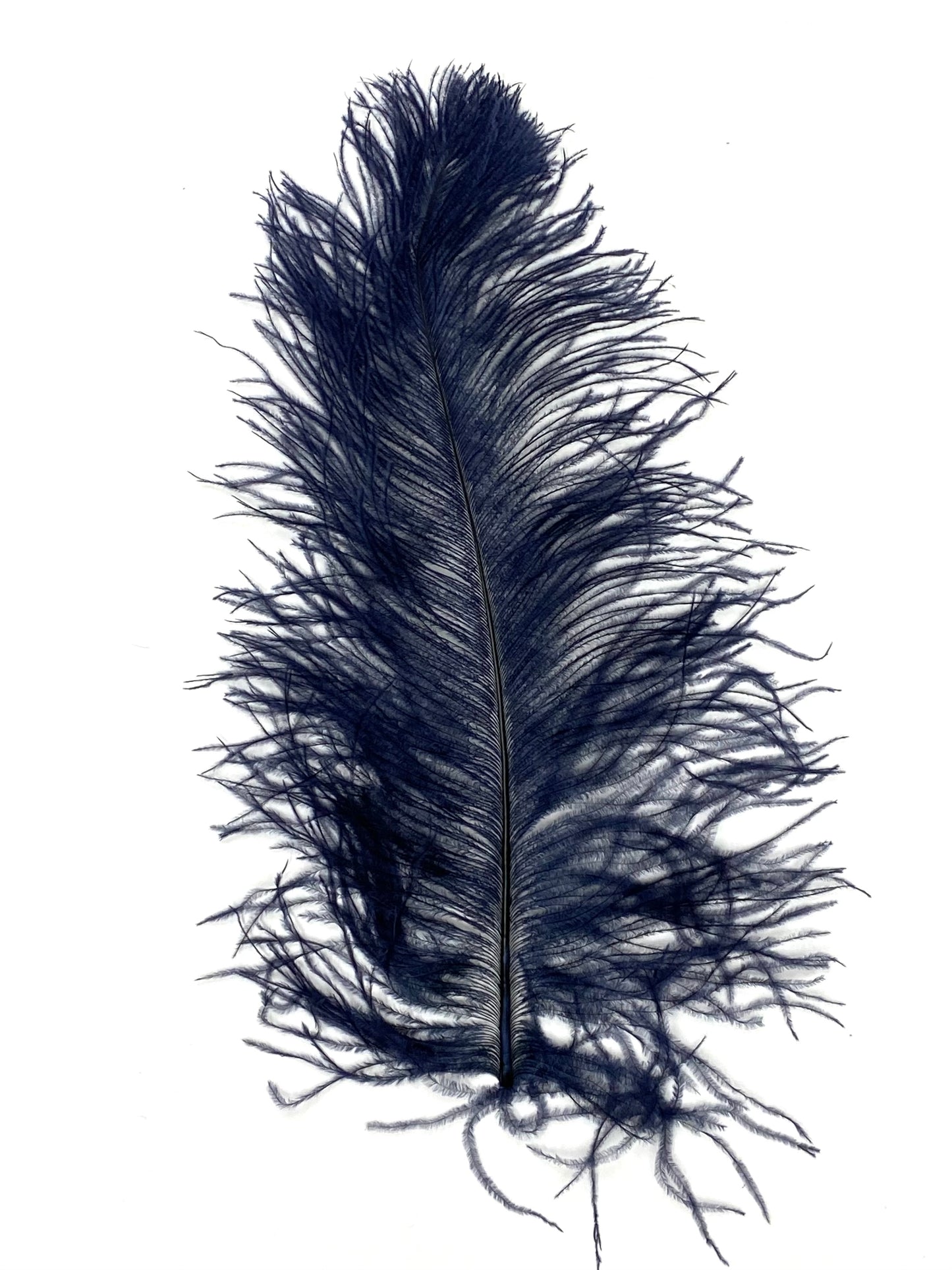 Ostrich Plumes 8-18"