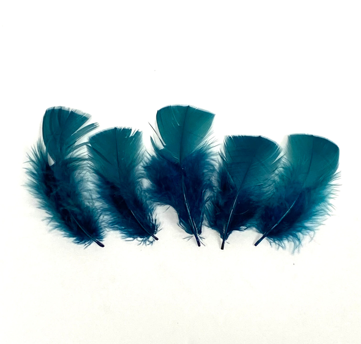 Marabou Plumage