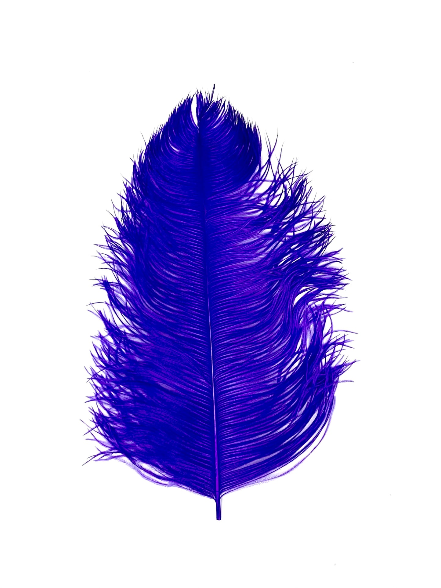 Ostrich Plumes 8-18"