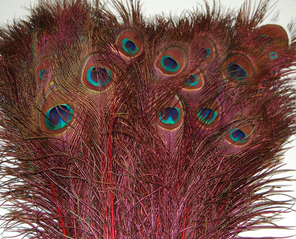 Peacock Tails Dyed 30-45"