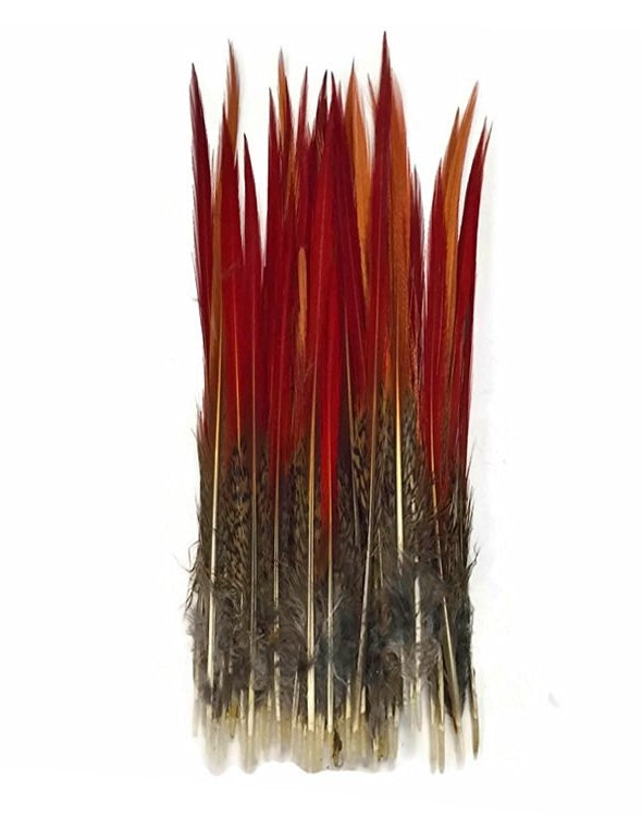 Golden Pheasant Tails Red Tip 4-12"