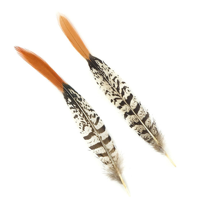 Lady Amherst Pheasant Tails Red Tip 4-12"