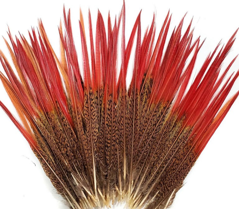 Golden Pheasant Tails Red Tip 4-12"