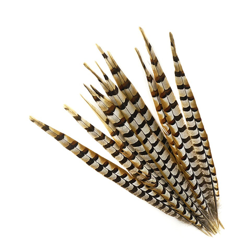 Reeves Pheasant Tails 4-60"