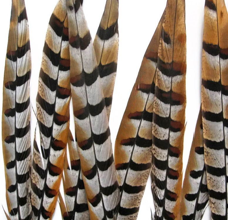 Reeves Pheasant Tails 4-60"