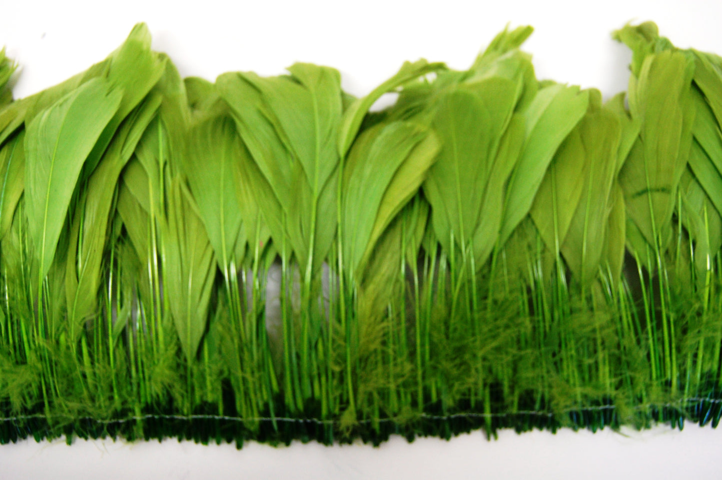 Moss green rooster feathers by Eskay Feathers