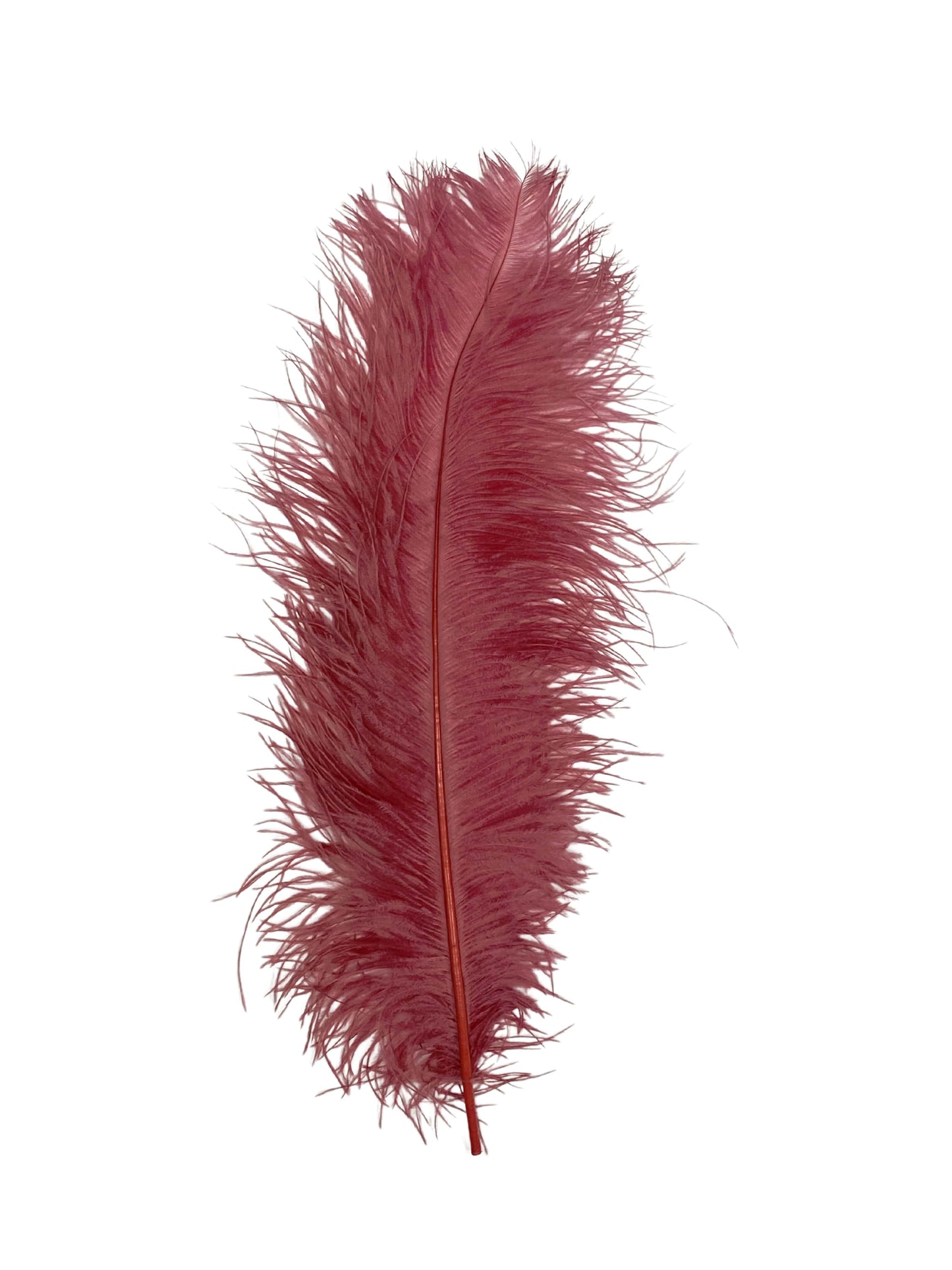 Ostrich Plumes 23-28"