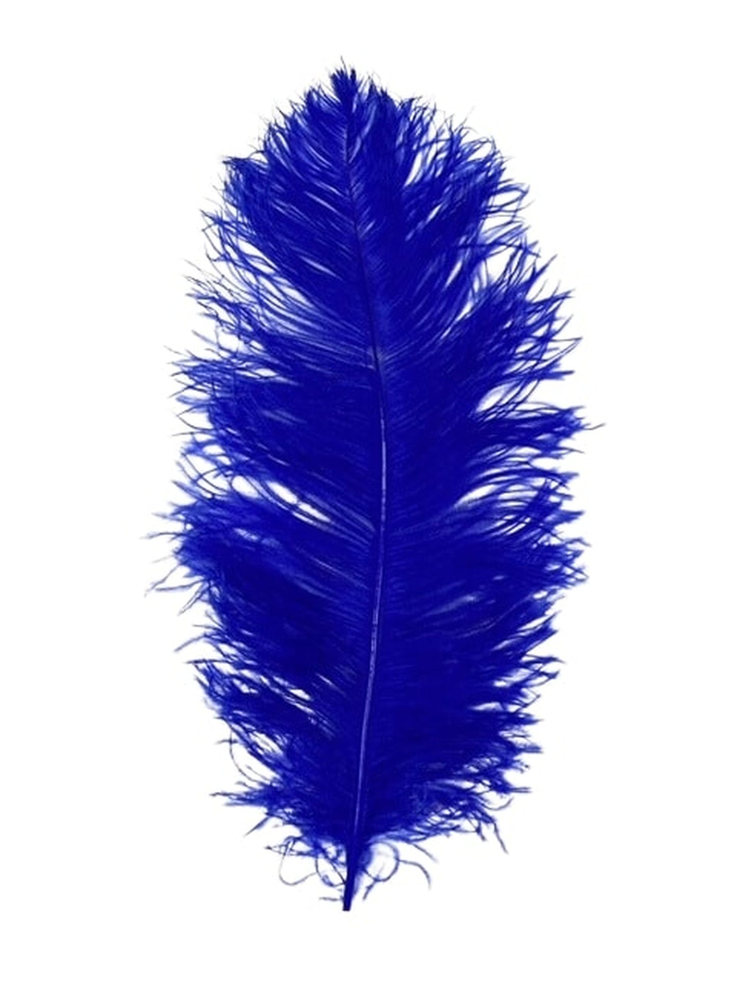 Ostrich  Plumes 18"-23"