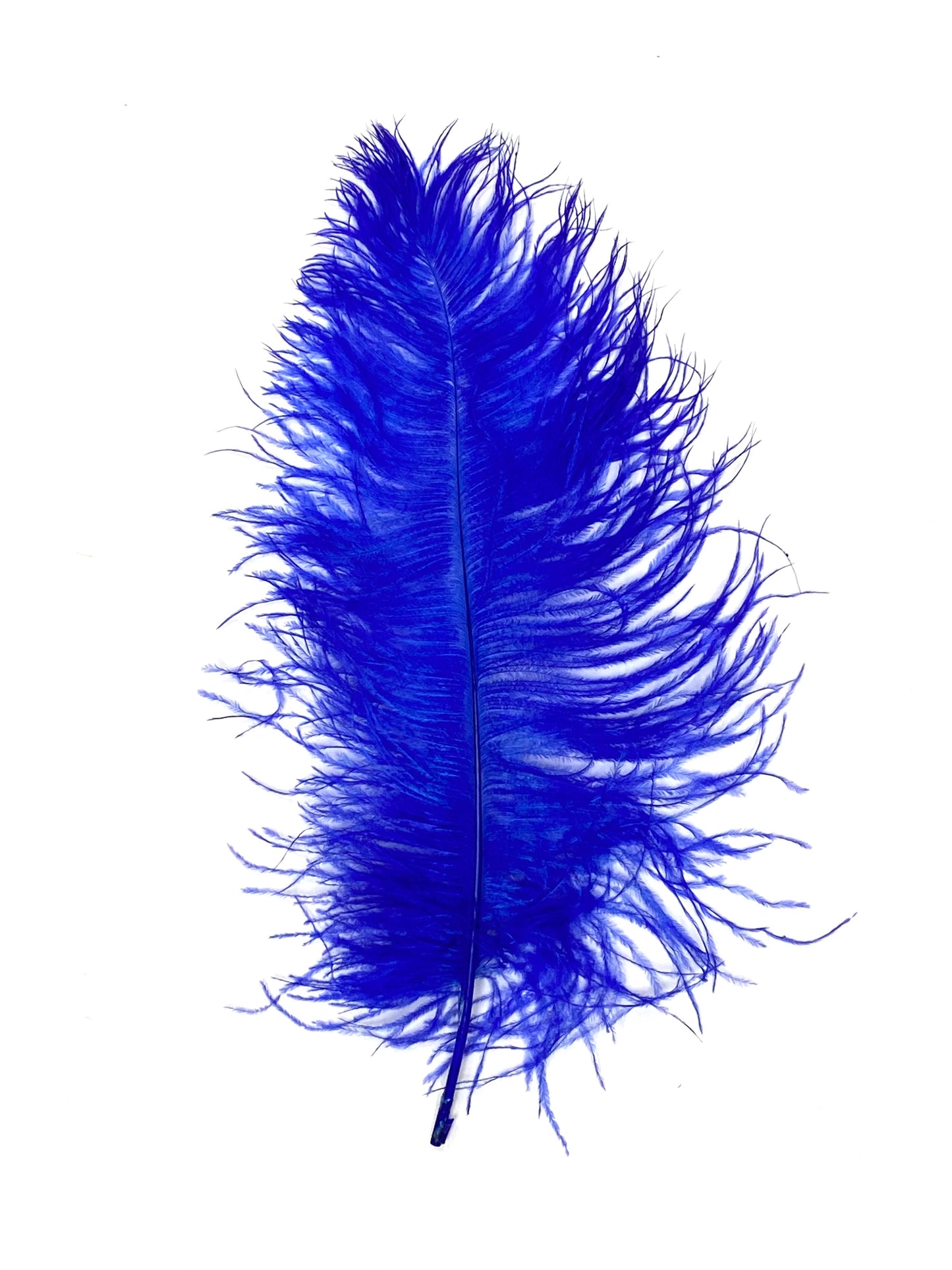 Ostrich Plumes 8-18"