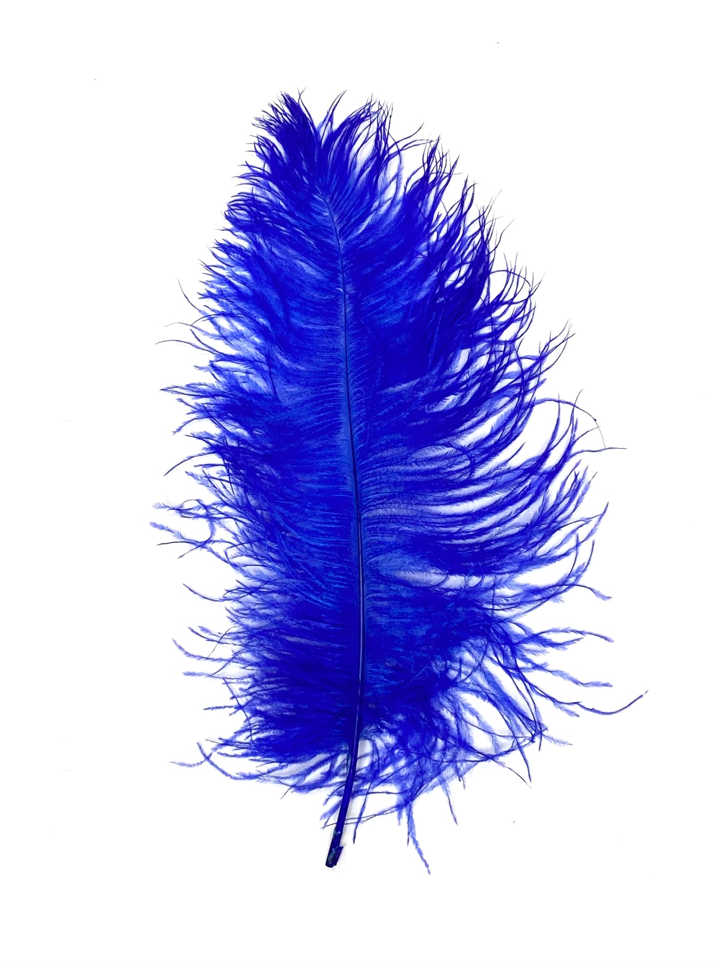 Ostrich Plumes 8-18"