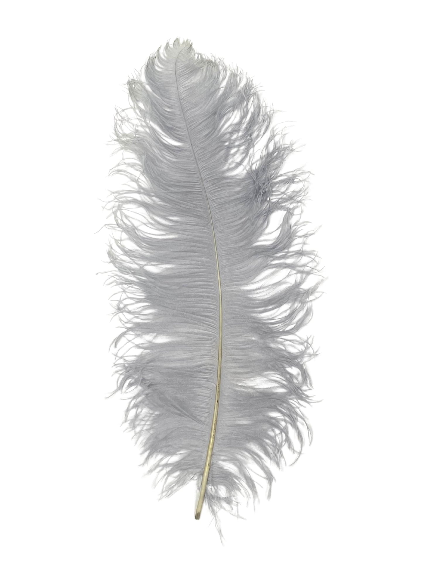 Ostrich Plumes 23-28"