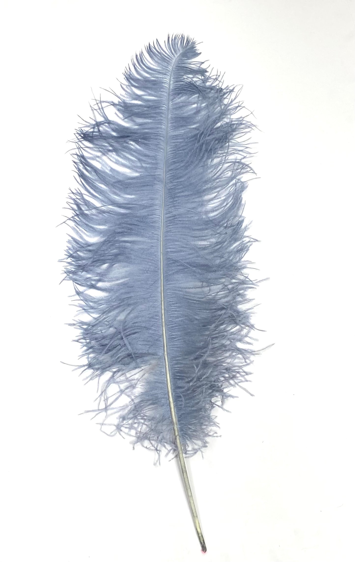 Ostrich Plumes 8-18"