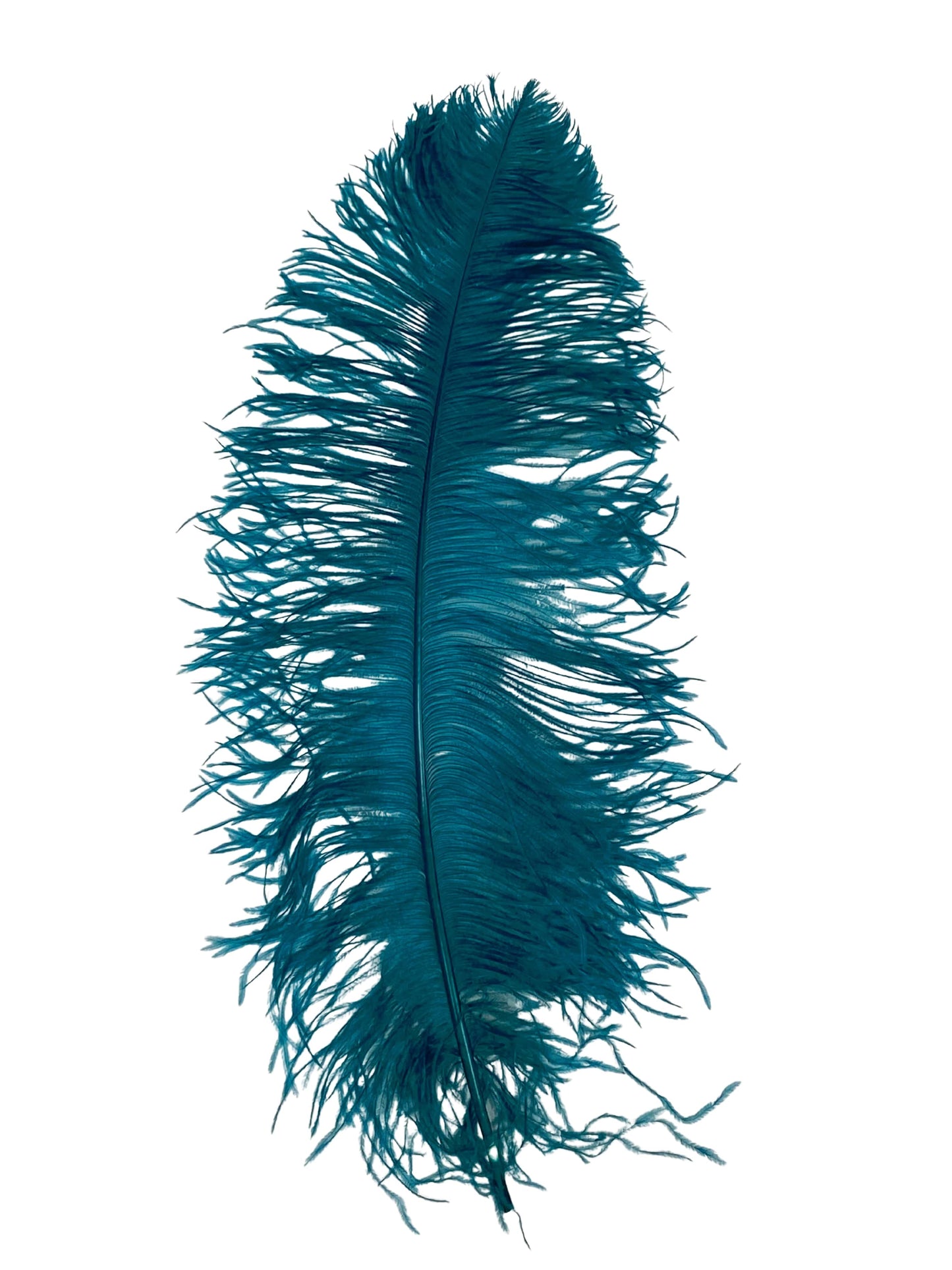 Ostrich  Plumes 18"-23"