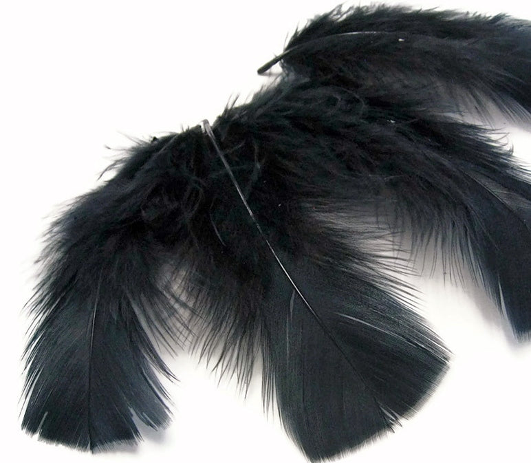 black colored turkey plumage