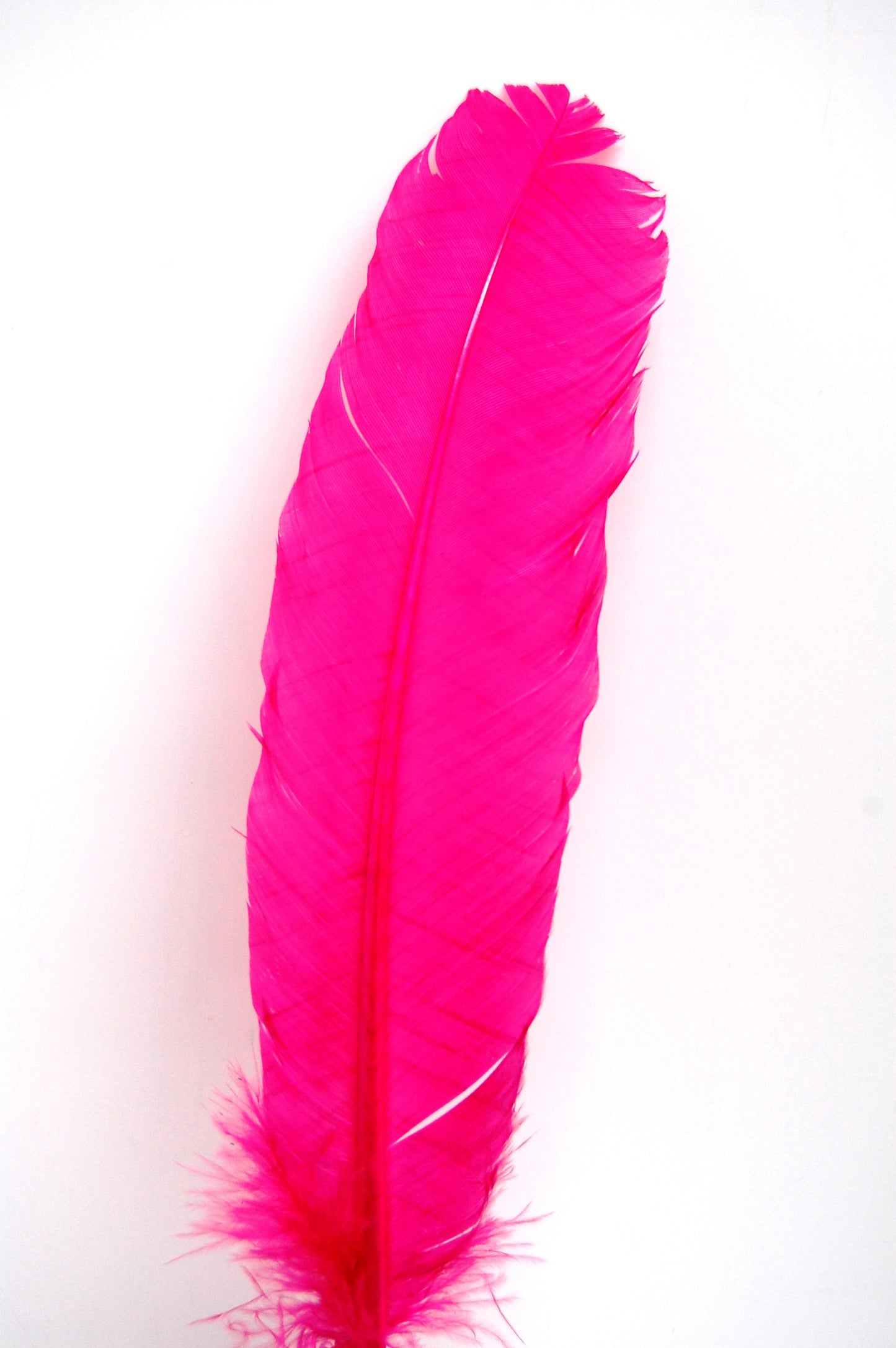 a hot pink turkey quill