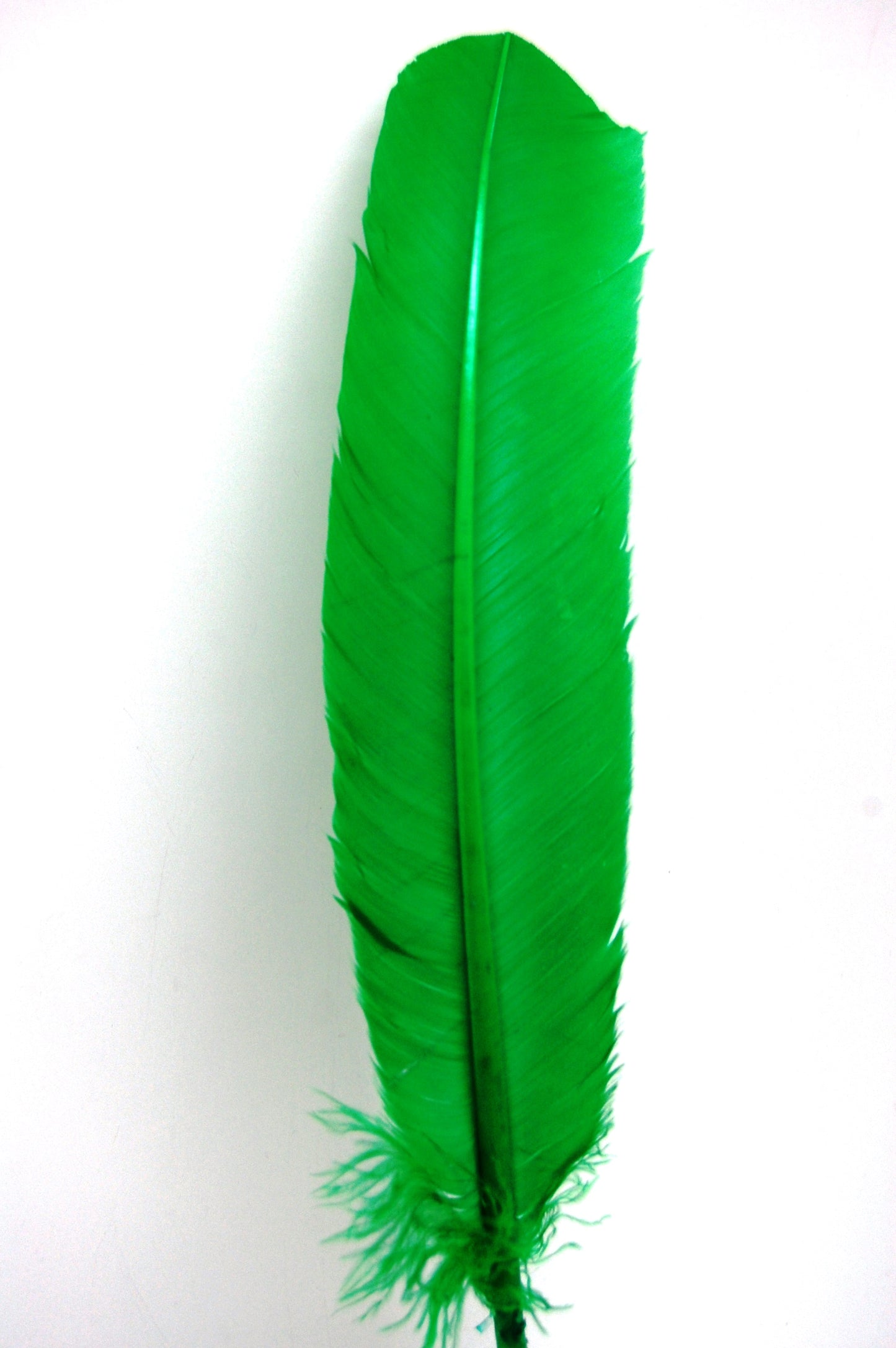 a Kelly green turkey quill