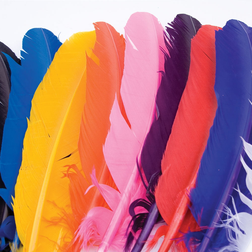 a variety of eskay feathers turkey quills