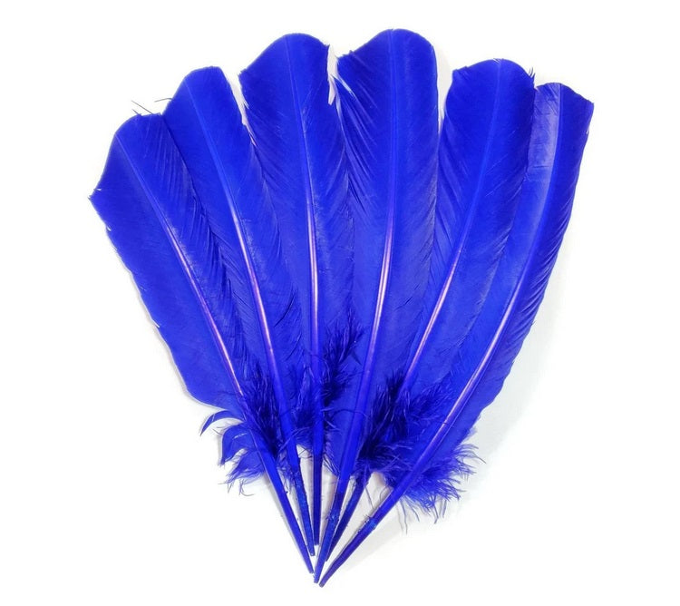 A group of royal blue turkey quills