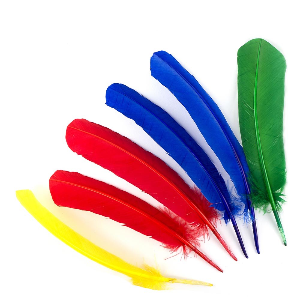red green blue and yellow turkey quills