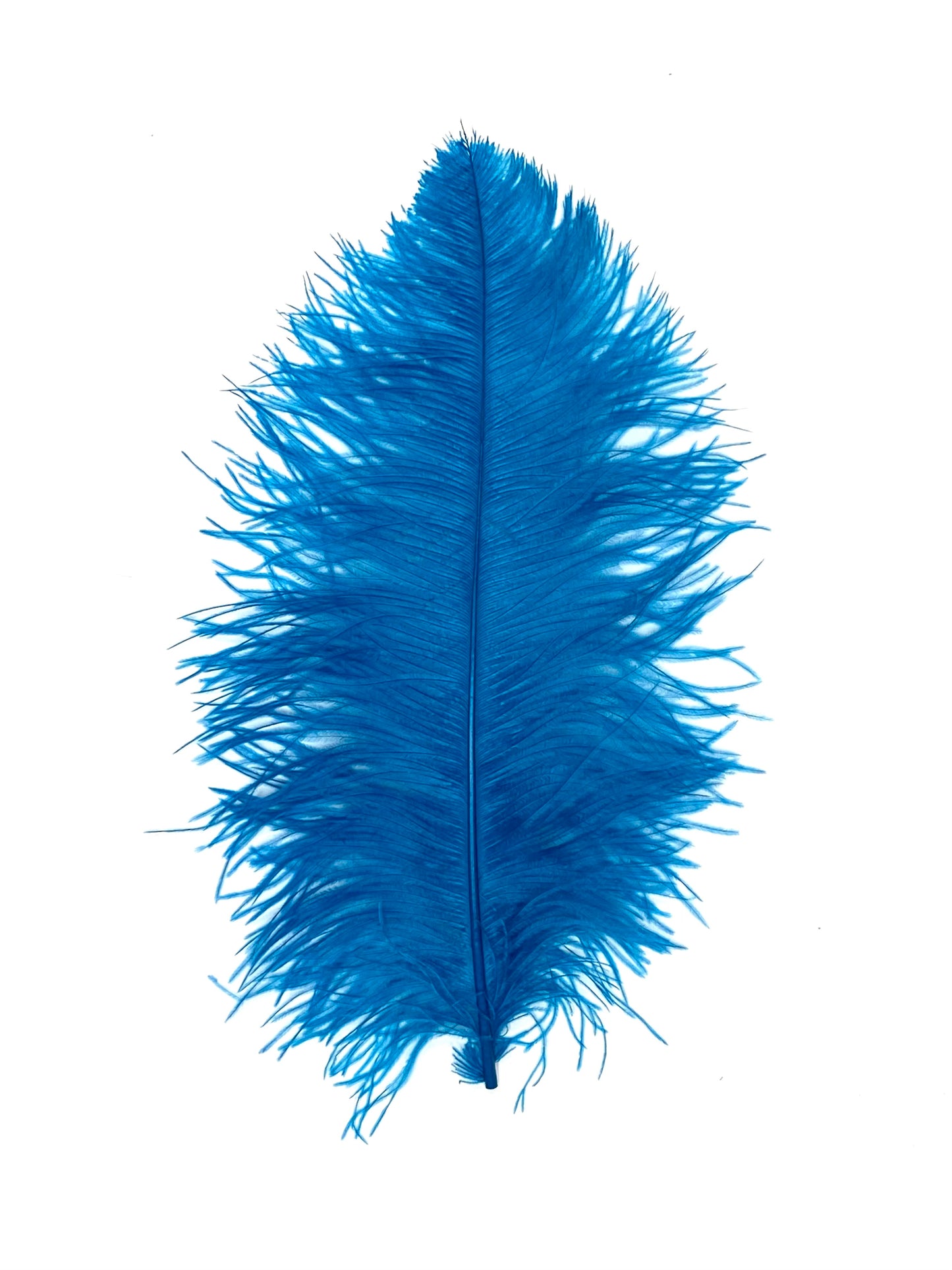 Ostrich Plumes 8-18"