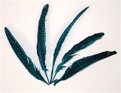 Guinea Quills