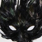 Feather Costume Masks