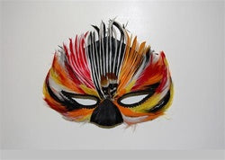 Feather Costume Masks