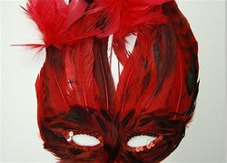 Feather Costume Masks