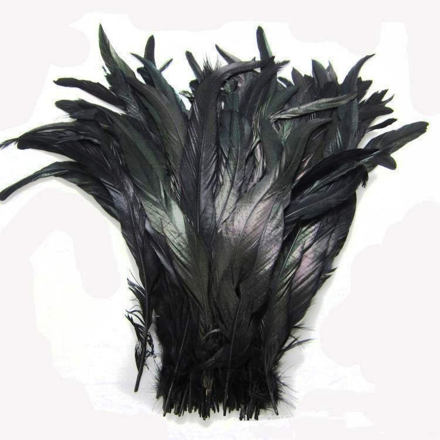 Dyed Black Coque