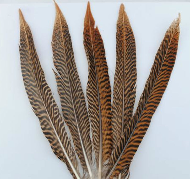 Golden Pheasant Tails 4-30"