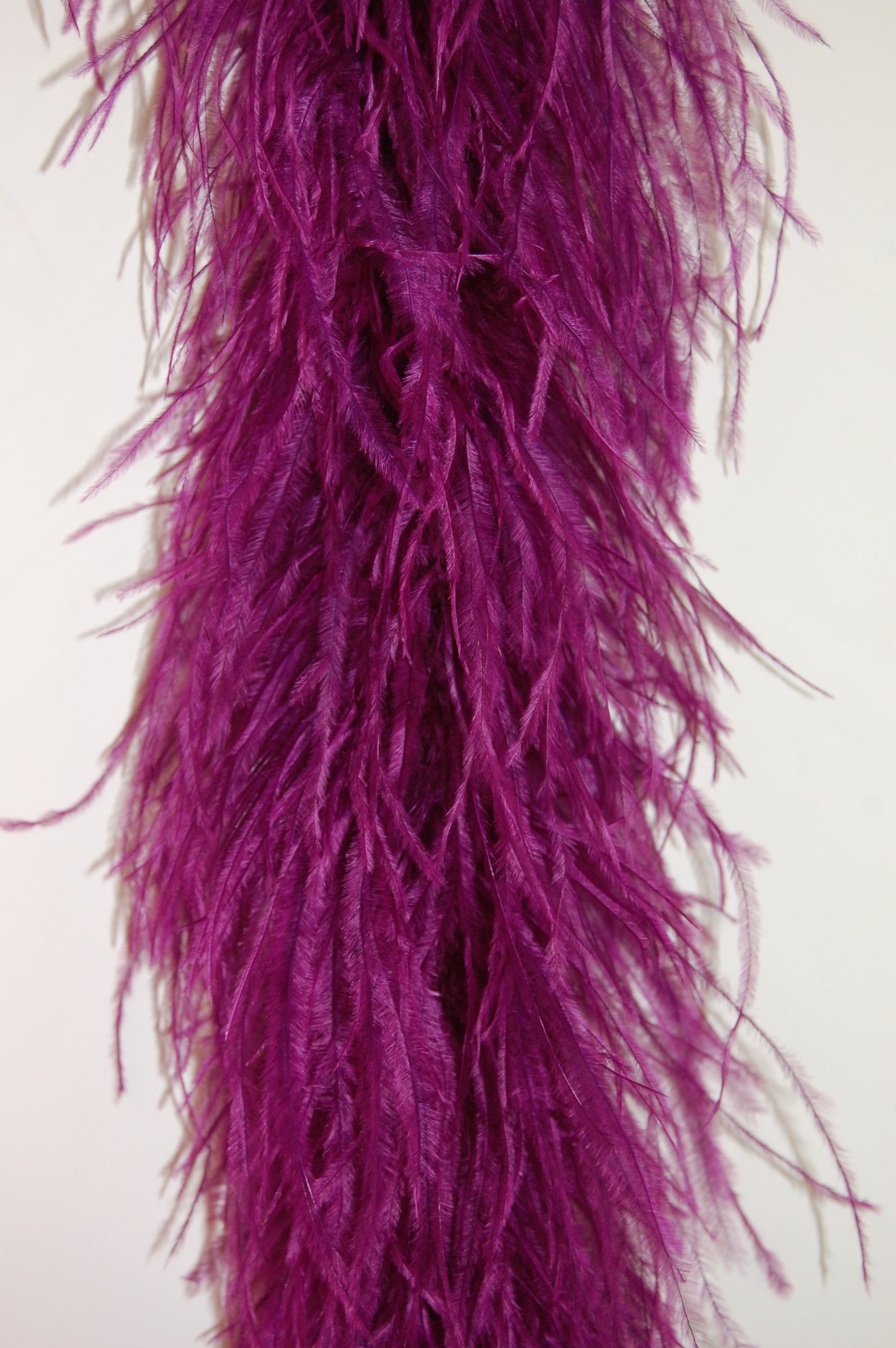 Ostrich Boa - 4 Ply