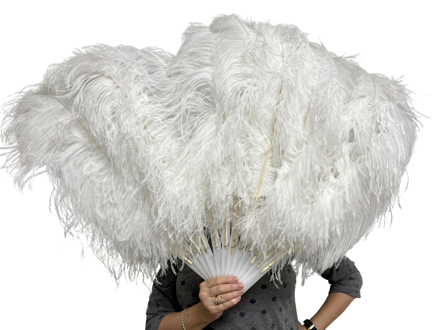 Ostrich Fan Large