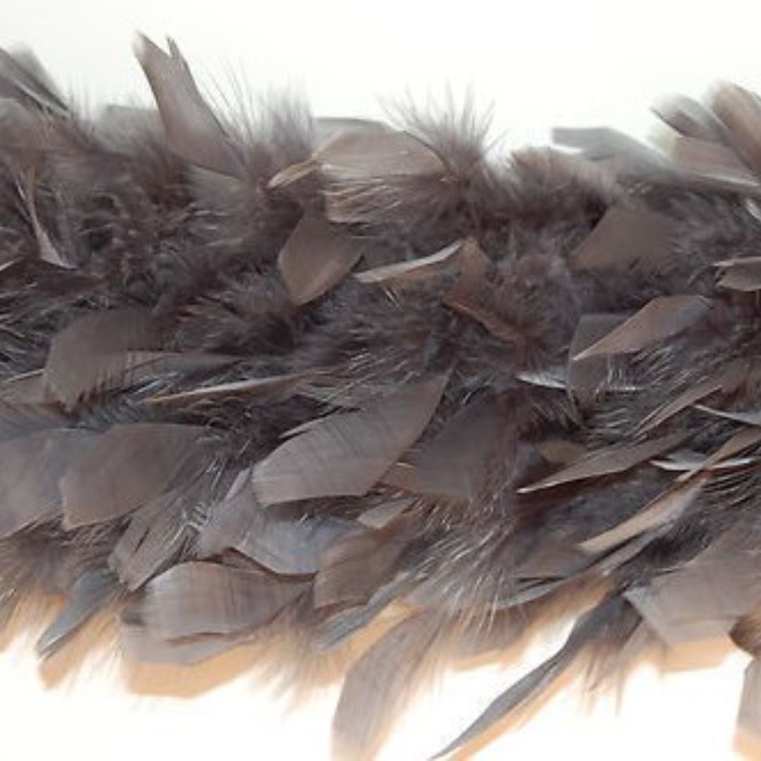 a close up of a Chandelle Boa with a white background