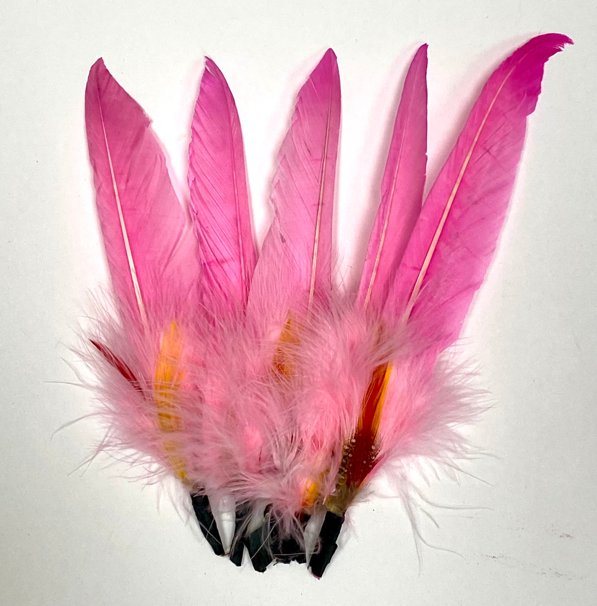 Pink Duck Quills used in a set decoration to evoke a specific atmosphere or theme.
