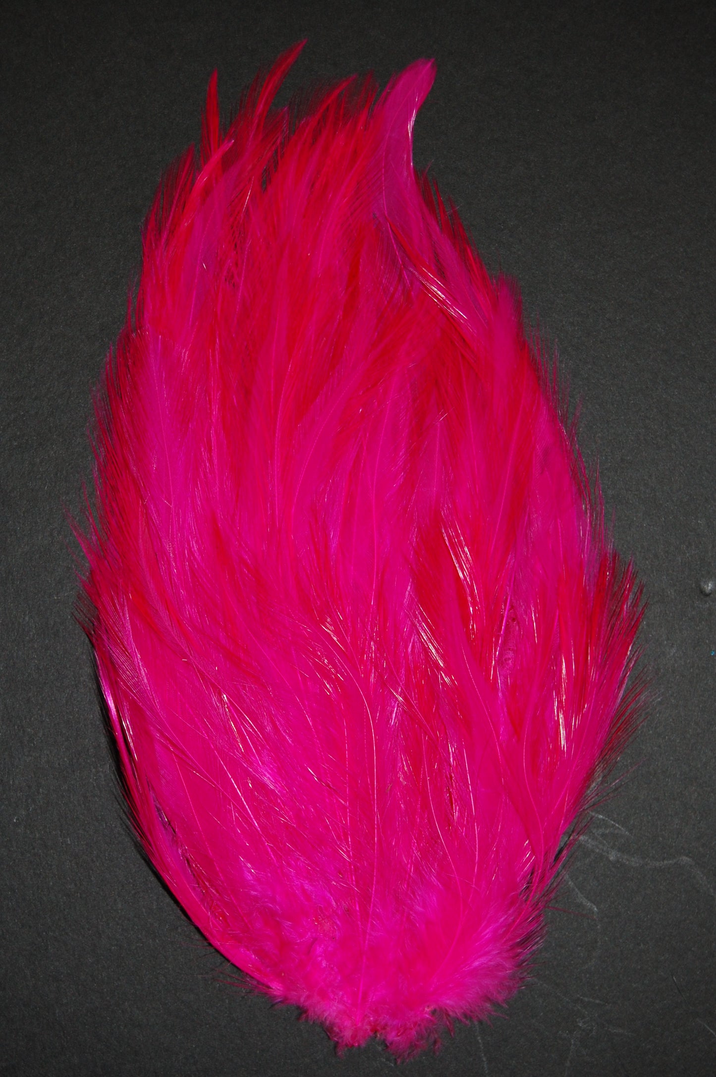 Hackle Pad