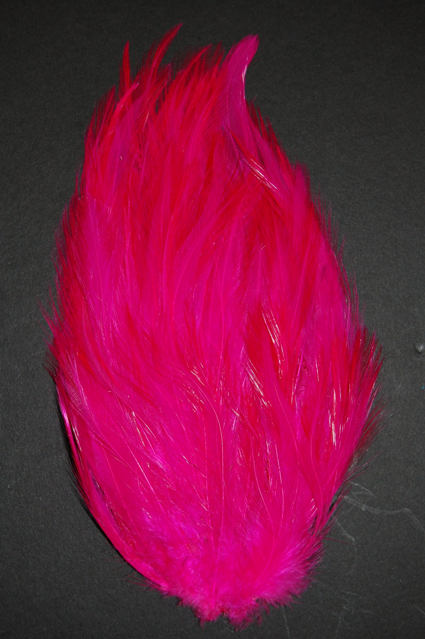 Hackle Pad