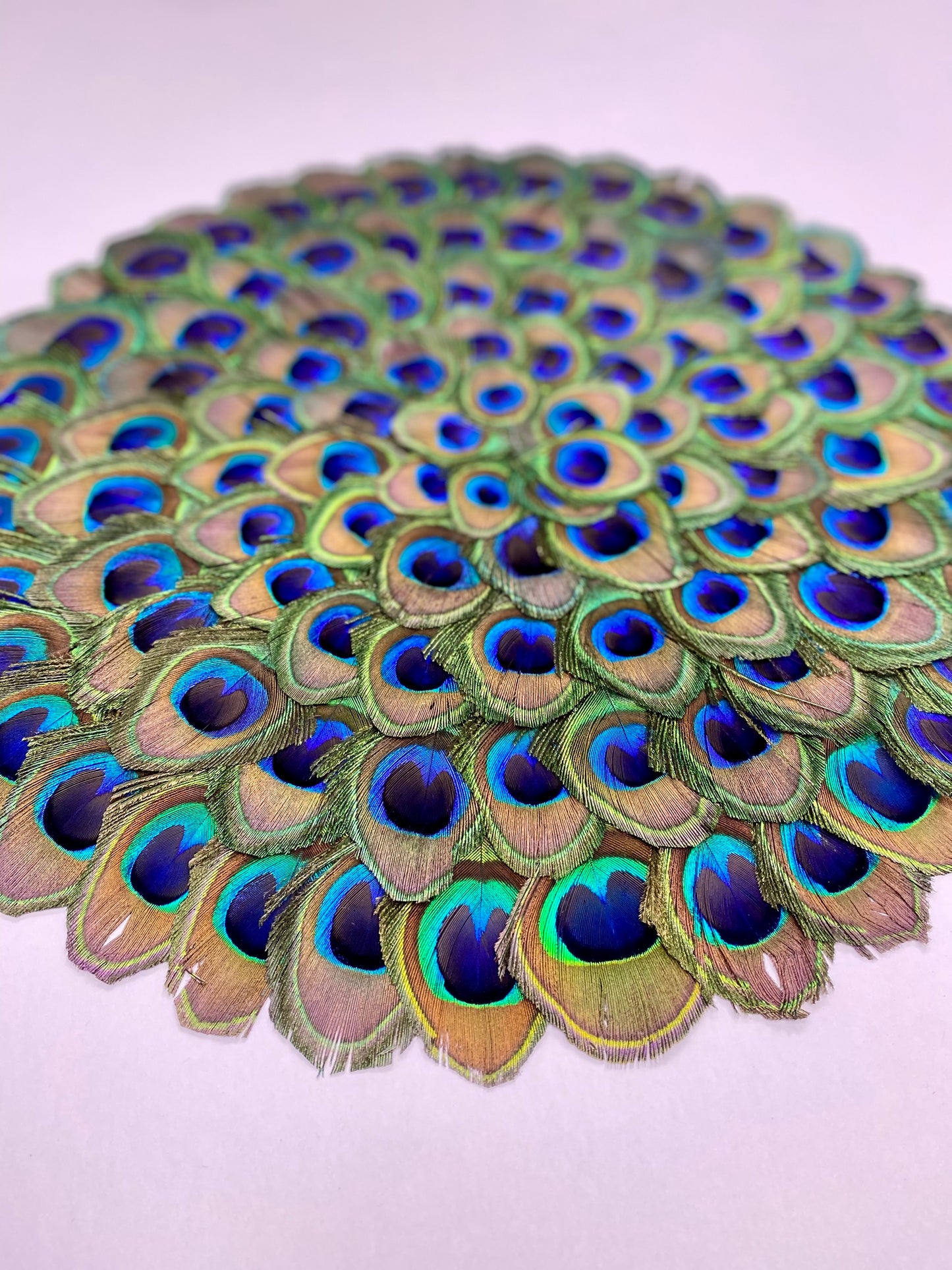 Peacock Placemat