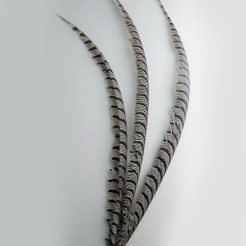 Lady Amherst Center 30-40" ( SOLD by PIECE )