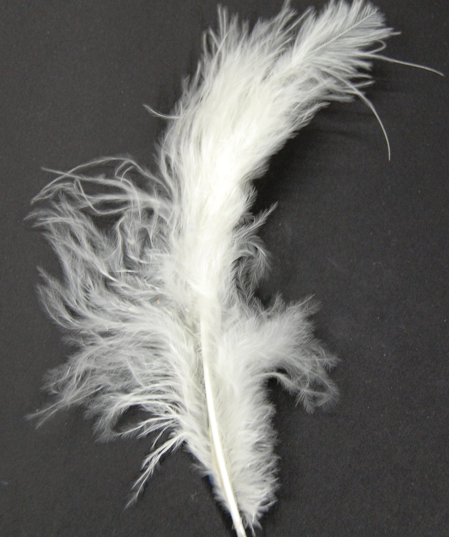 Marabou Plumage